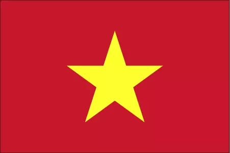 VIETNAMESE