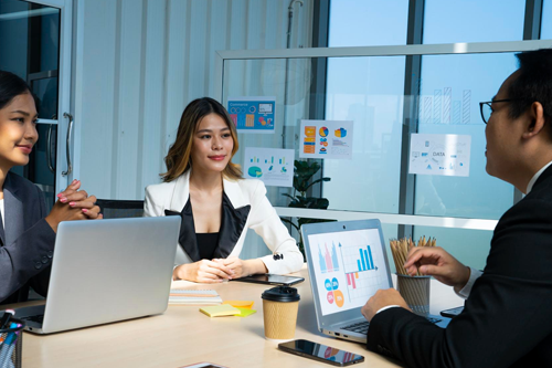 Bahasa Indonesia for Professionals